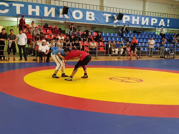 Фестиваль неолимпийских и национальных видов спортивной борьбы прошел в Москве 