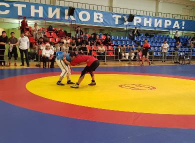 Фестиваль неолимпийских и национальных видов спортивной борьбы прошел в Москве 