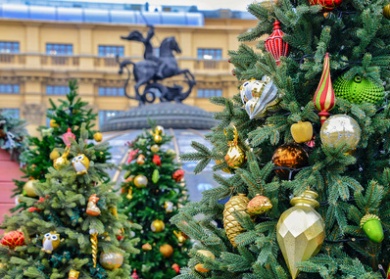 Каникулы в столице: юные гости из регионов России приедут в Москву на новогодние праздники