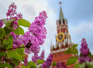 В столице впервые пройдет фестиваль "Весна"