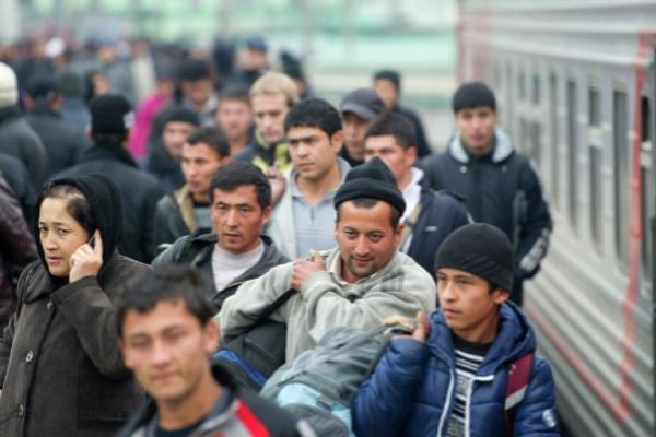 Законопроект об адаптации мигрантов внесут в правительство к 1 августа  