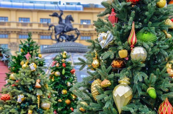 Каникулы в столице: юные гости из регионов России приедут в Москву на новогодние праздники